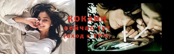 стафф Алзамай