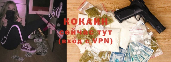 стафф Алзамай
